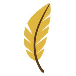 single feather