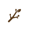 single curled leaf
