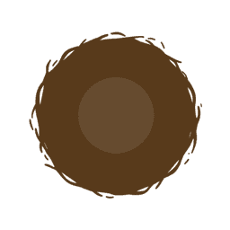 bird's nest