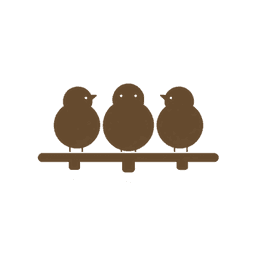 flock of birds flying together