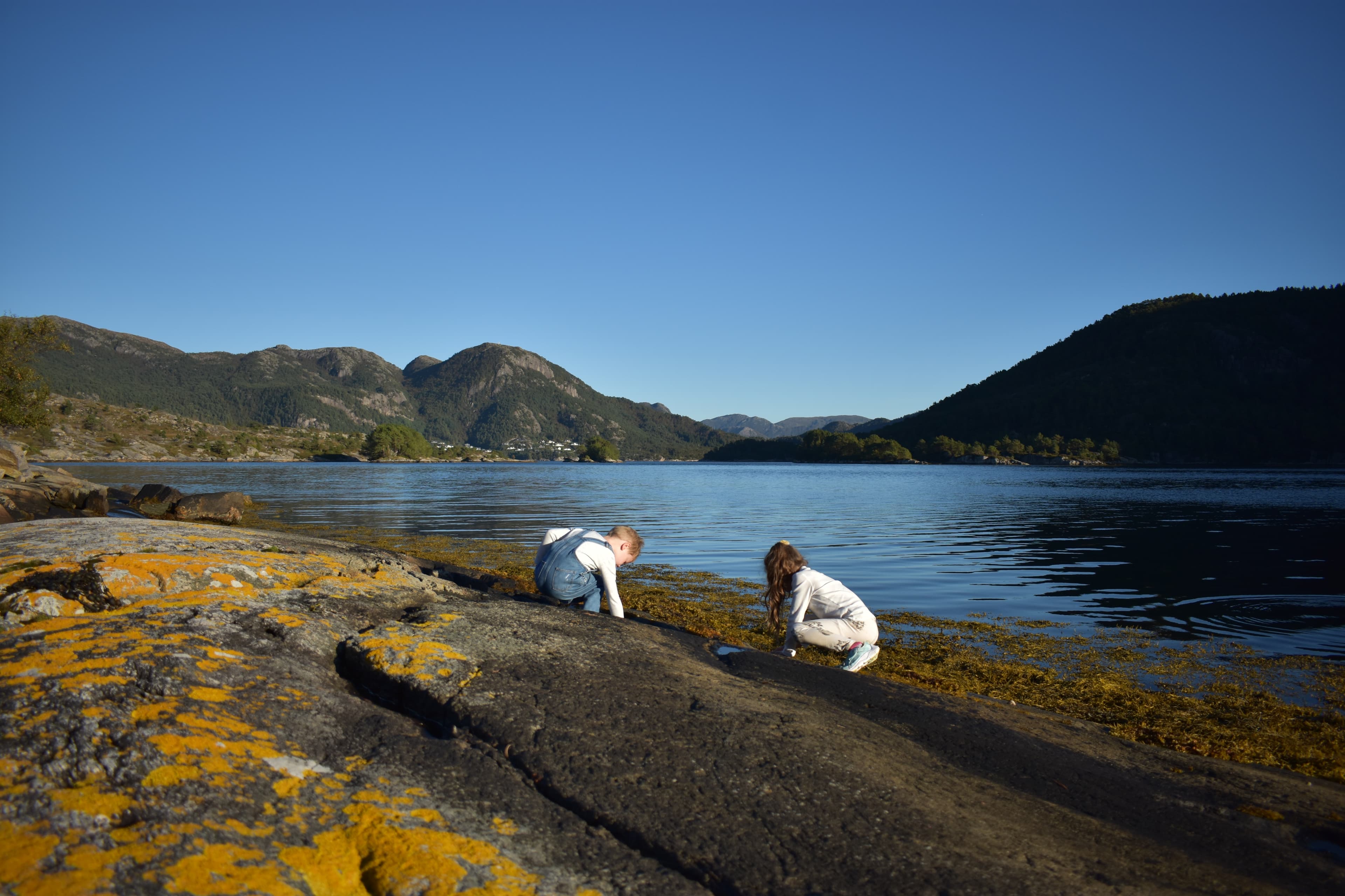 Children exploring the Norwegian fjord shore